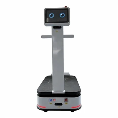 Robot de manipulare a materialelor 100KG